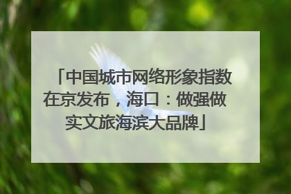 中国城市网络形象指数在京发布，海口：做强做实文旅海滨大品牌