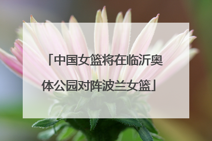 中国女篮将在临沂奥体公园对阵波兰女篮