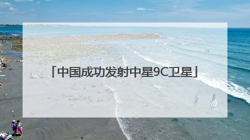 中国成功发射中星9C卫星