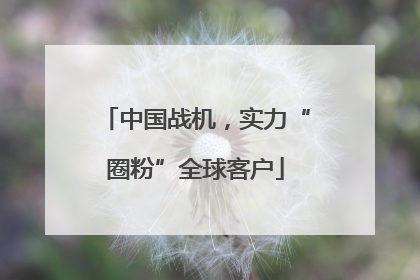 中国战机，实力“圈粉”全球客户