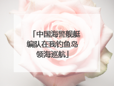 中国海警舰艇编队在我钓鱼岛领海巡航