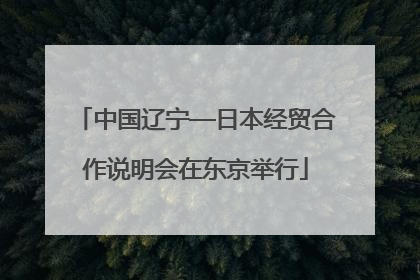 中国辽宁—日本经贸合作说明会在东京举行