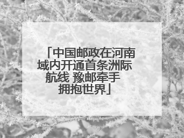 中国邮政在河南域内开通首条洲际航线 豫邮牵手 拥抱世界