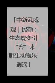 中新武威观｜民勤：生态蝶变引“客”来 野生动物乐逍遥