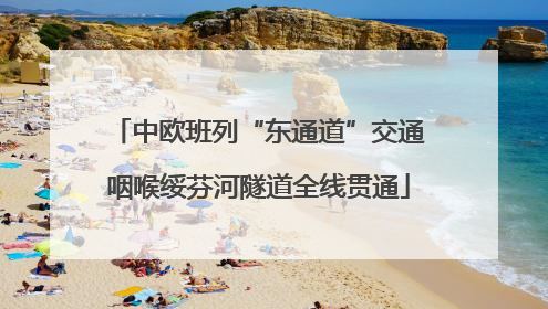 中欧班列“东通道”交通咽喉绥芬河隧道全线贯通