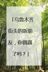 乌鲁木齐街头的新朋友，你偶遇了吗？