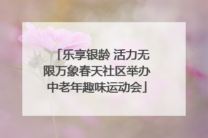 乐享银龄 活力无限万象春天社区举办中老年趣味运动会