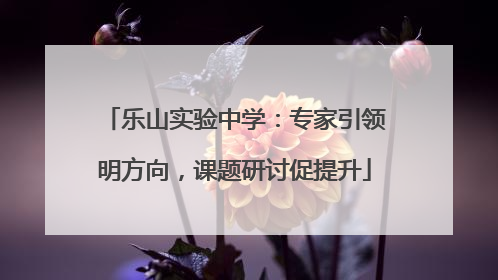乐山实验中学：专家引领明方向，课题研讨促提升