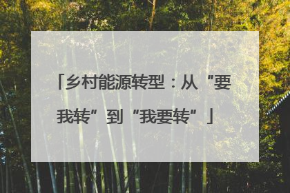 乡村能源转型：从“要我转”到“我要转”