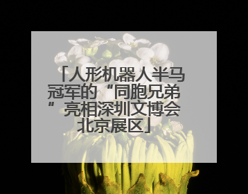 人形机器人半马冠军的“同胞兄弟”亮相深圳文博会北京展区