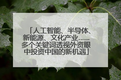 人工智能、半导体、新能源、文化产业……多个关键词透视外资眼中投资中国的新机遇