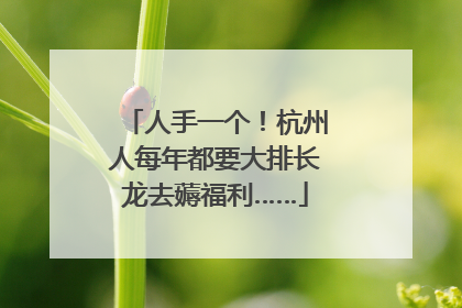 人手一个！杭州人每年都要大排长龙去薅福利……