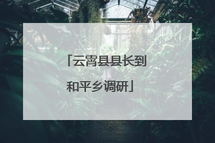 云霄县县长到和平乡调研