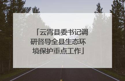 云霄县委书记调研督导全县生态环境保护重点工作
