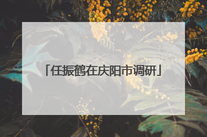 任振鹤在庆阳市调研