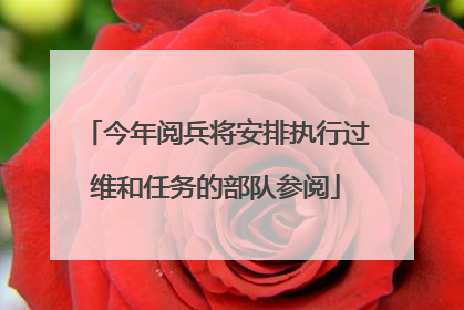 今年阅兵将安排执行过维和任务的部队参阅