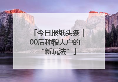 今日报纸头条｜00后种粮大户的“新玩法”