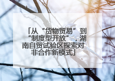 从“货物贸易”到“制度型开放”，湖南自贸试验区探索对非合作新模式