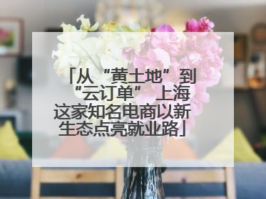 从“黄土地”到“云订单” 上海这家知名电商以新生态点亮就业路
