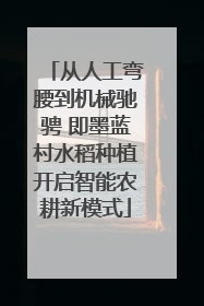 从人工弯腰到机械驰骋 即墨蓝村水稻种植开启智能农耕新模式
