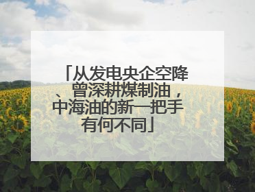 从发电央企空降、曾深耕煤制油，中海油的新一把手有何不同