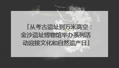 从考古遗址到万米高空：金沙遗址博物馆举办系列活动迎接文化和自然遗产日