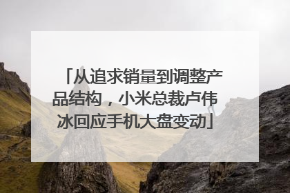 从追求销量到调整产品结构，小米总裁卢伟冰回应手机大盘变动