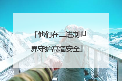 他们在二进制世界守护高墙安全
