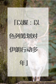 以媒：以色列筹划对伊朗行动多年