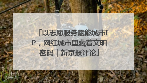 以志愿服务赋能城市IP，网红城市里藏着文明密码｜新京报评论
