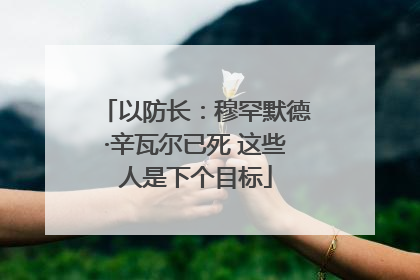 以防长：穆罕默德·辛瓦尔已死 这些人是下个目标