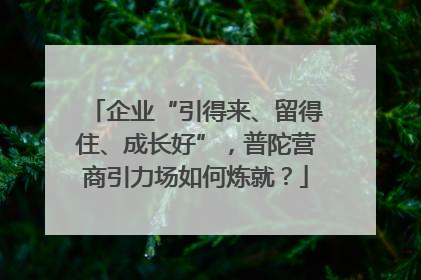 企业“引得来、留得住、成长好”，普陀营商引力场如何炼就？