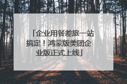 企业用餐差旅一站搞定！鸿蒙版美团企业版正式上线