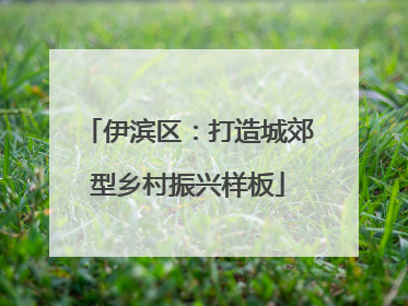 伊滨区：打造城郊型乡村振兴样板