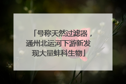 号称天然过滤器，通州北运河下游新发现大量蚌科生物