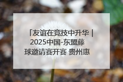 友谊在竞技中升华｜2025中国-东盟藤球邀请赛开赛 贵州惠水燃动“空中芭蕾”