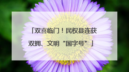 双喜临门！民权县连获双拥、文明“国字号”