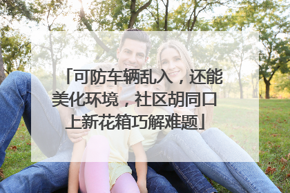 可防车辆乱入，还能美化环境，社区胡同口上新花箱巧解难题