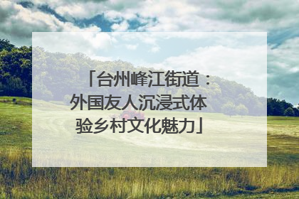 台州峰江街道：外国友人沉浸式体验乡村文化魅力