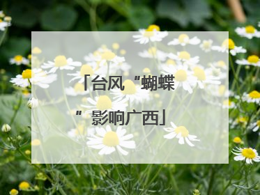 台风“蝴蝶”影响广西