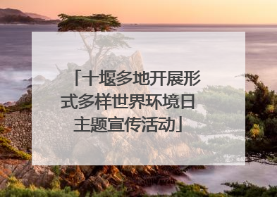 十堰多地开展形式多样世界环境日主题宣传活动