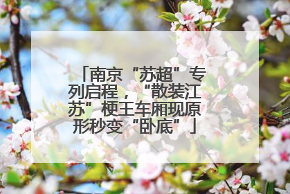 南京“苏超”专列启程，“散装江苏”梗王车厢现原形秒变“卧底”