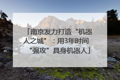 南京发力打造“机器人之城”：用3年时间“强攻”具身机器人