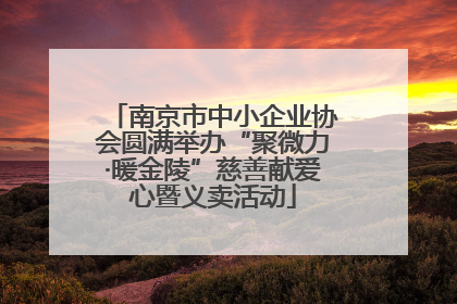 南京市中小企业协会圆满举办“聚微力·暖金陵”慈善献爱心暨义卖活动