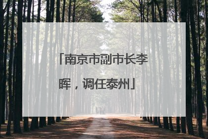 南京市副市长李晖，调任泰州