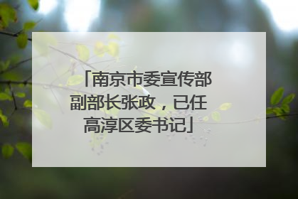 南京市委宣传部副部长张政，已任高淳区委书记