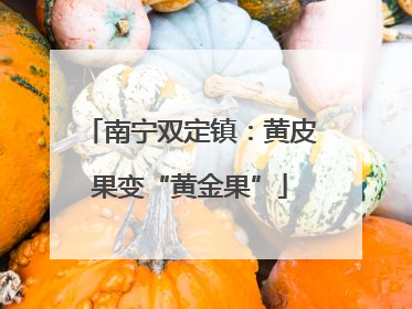 南宁双定镇：黄皮果变“黄金果”