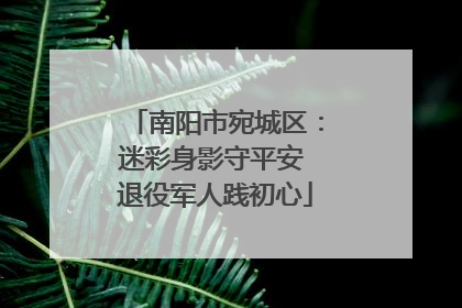 南阳市宛城区：迷彩身影守平安 退役军人践初心