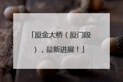 厦金大桥（厦门段），最新进展！
