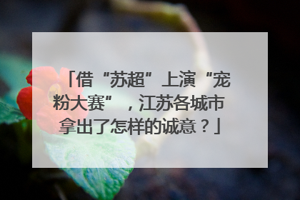 借“苏超”上演“宠粉大赛”，江苏各城市拿出了怎样的诚意？